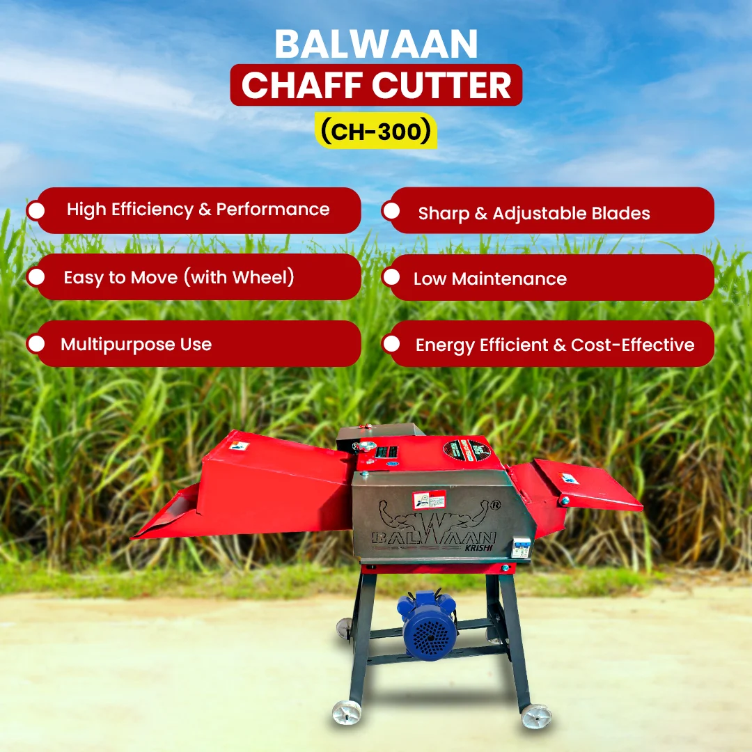 Balwaan-chaff-cutter-with-gear & motor-ch-300-4